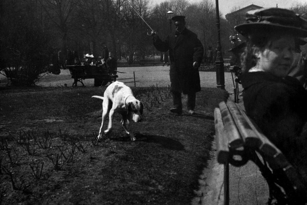 Puistovahti hätistää koiraa Esplanadin nurmikolta vuonna 1908. Kuvaaja: Helsingin kaupunginmuseo