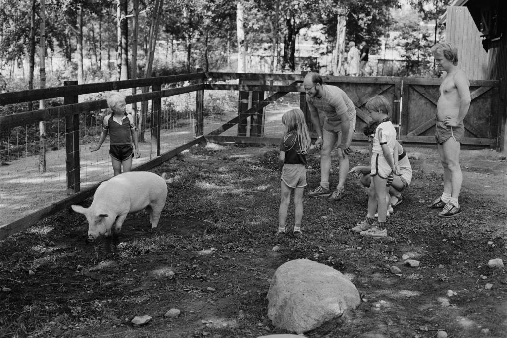 Lapset ihmettelevät sikaa Malminkartanon kotieläinpuistossa. Kuvaaja: Helsingin kaupunginmuseo / Jan Alanco