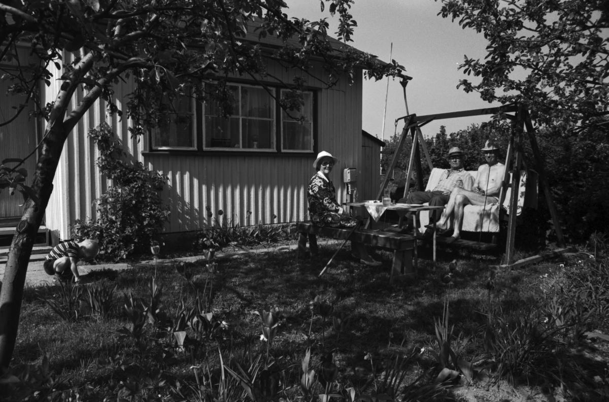 Kolme naista istuu mökin pihalla Marjaniemen siirtolapuutarhalla nauttimassa kesäsäästä