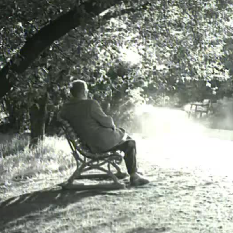 Mies istuu puistossa penkillä selin katsojaan