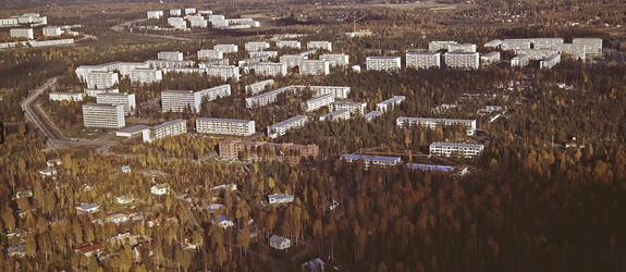 En flygbild tagen på hösten som visar ett egnahemsområde och ett område med flervåningshus.