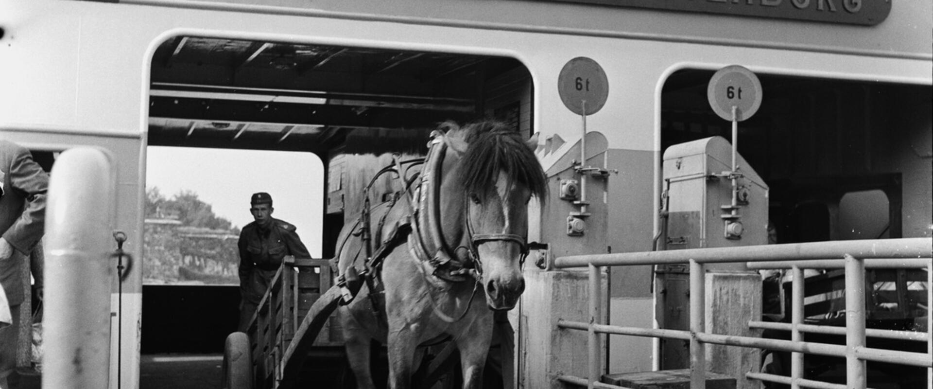 Färjan till Sveaborg har anlänt till bryggan på Stora Öster Svartö. Från fartyget kommer en hästkärra med en man sittande i vagnen.
