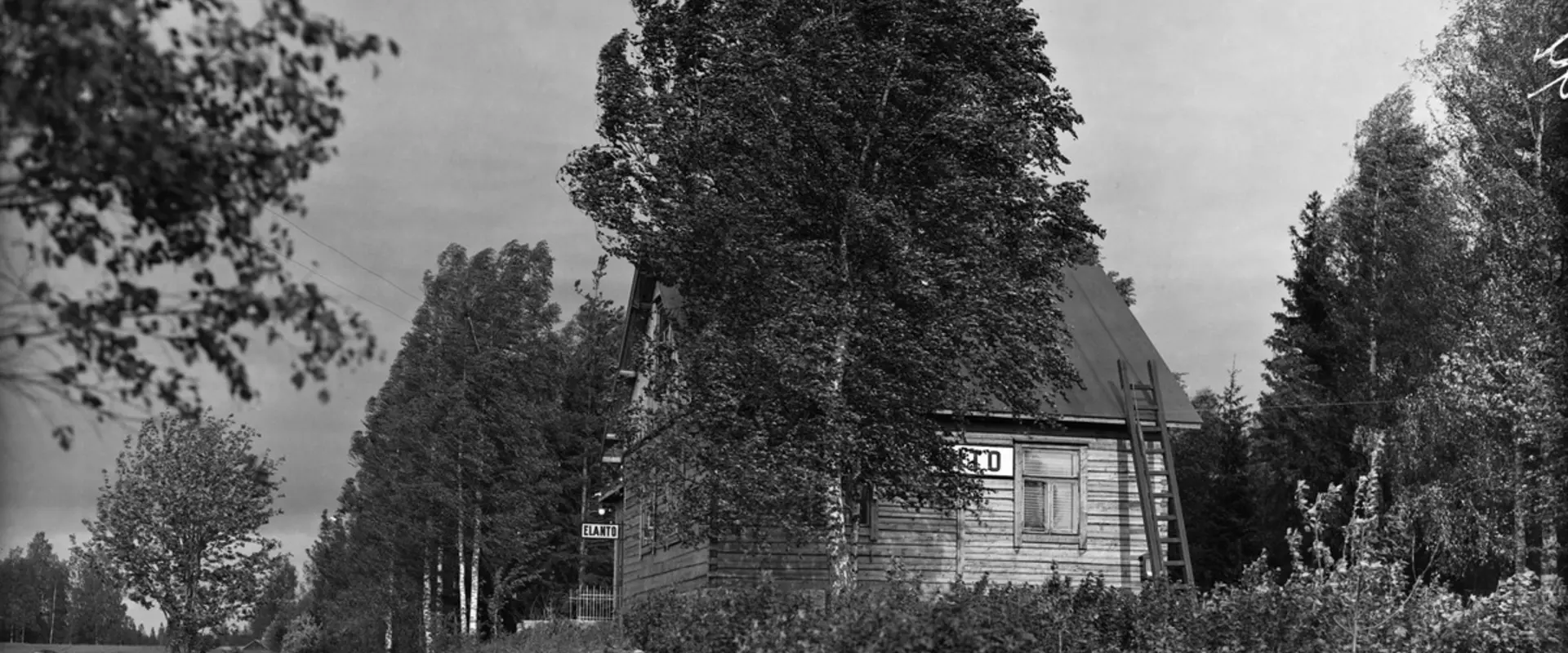 Vasemmalla on kapea hiekkatie, oikealla puolitoistakerroksinen puurakennus, jonka ympärillä on koivuja. Rakennuksen seinässä lukee ELANTO.