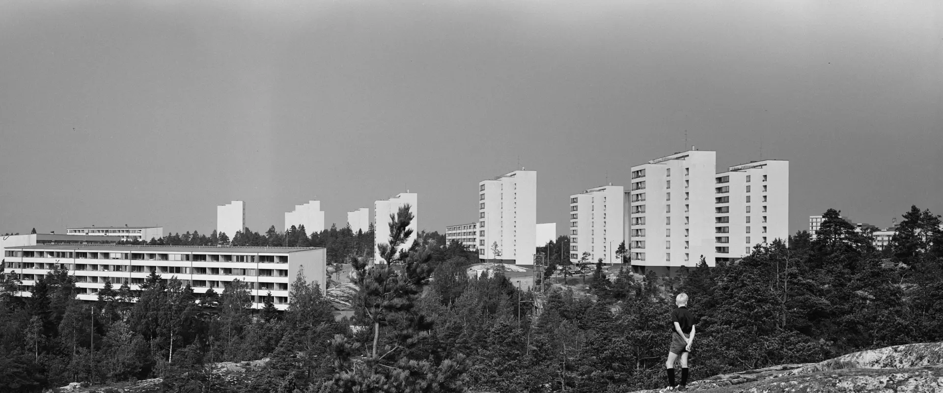 Poika seisoo kalliolla ja katselee metsän takana seisovia Pihlajamäen korkeita kerrostaloja. 