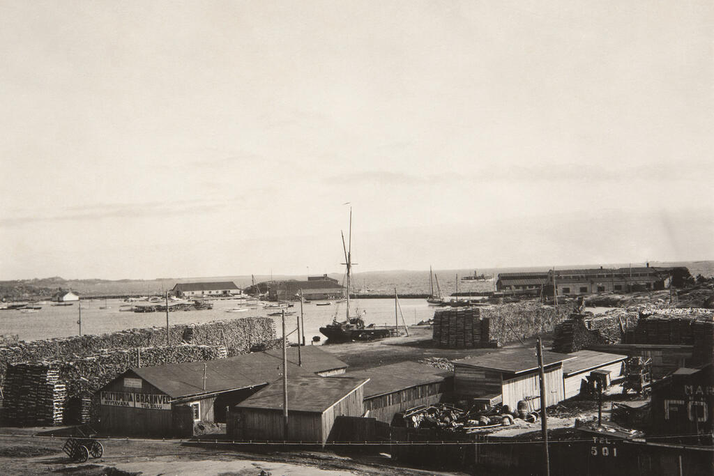 I Havshamnen fanns förutom fritidsbåtar även trävaruaffärer som försåg de södra delarna av staden med brännved. Foto: Helsingfors stadsmuseum