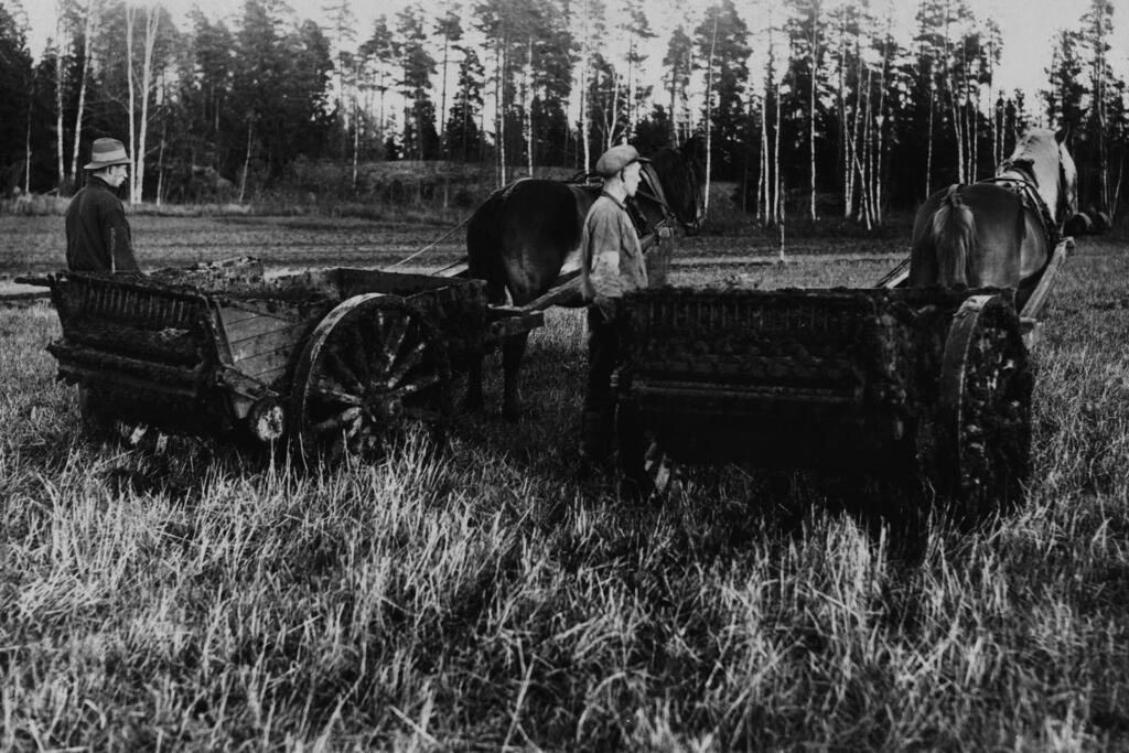 Lietteenlevittäjät annostelevat Kyläsaaren jätevedenpuhdistamon lietettä Östersundomin kartanon pelloille syksyllä 1934. Kuvaaja: Helsingin kaupunginmuseo / Foto Roos