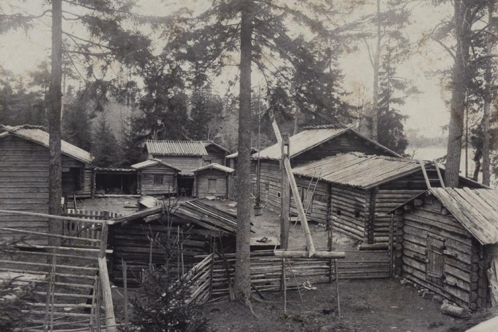 Niemelä torp på Fölisön fotograferat i början av 1900-talet. Foto: Helsingfors stadsmuseum
