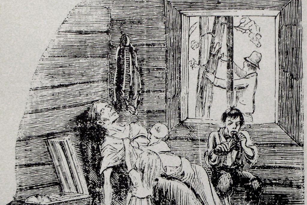 Suuret kuolonvuodet iskivät erityisesti maaseudun väestöön. Maalaisväestön hätä oli monin paikoin epäinhimillistä. Nälkää yritettiin helpottaa miltei millä tahansa, repimällä puun kuorta ja valmistamalla siitä niin kutsuttua pettujauhoa viljan korvikkeeksi. Piirros ruotsalaisesta Fäderneslandet-sanomalehdestä vuodelta 1867, joka kuvaa tuona aikana uudelleen koettuja nälkävuosia. Kuvaaja: Wikimedia Commons