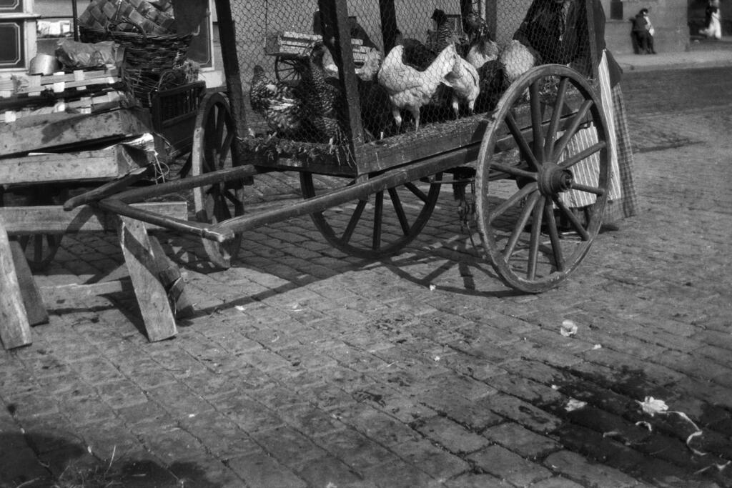 Siipikarjaa myynnissä kauppatorilla vuonna 1919. Kuvaaja: Ivan Timiriasew / Helsingin kaupunginmuseo