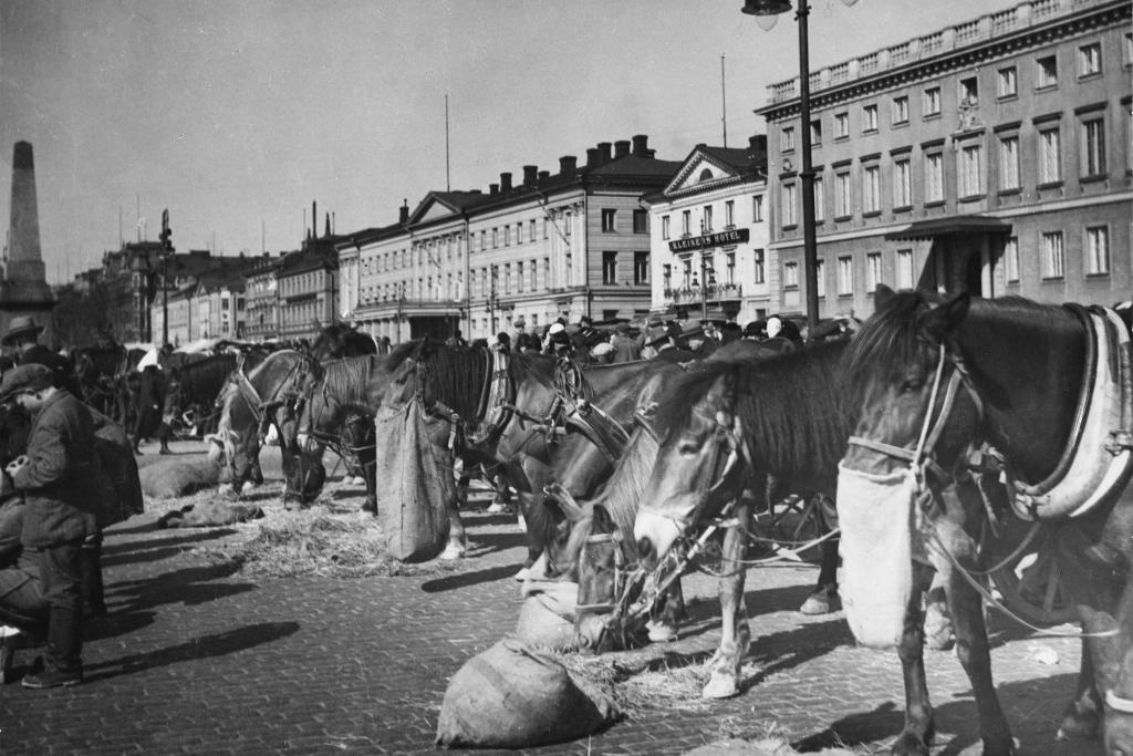 Hästar med havrepåsar på Salutorget 1932.  Foto: Helsingfors stadsmuseum / H. Iffland