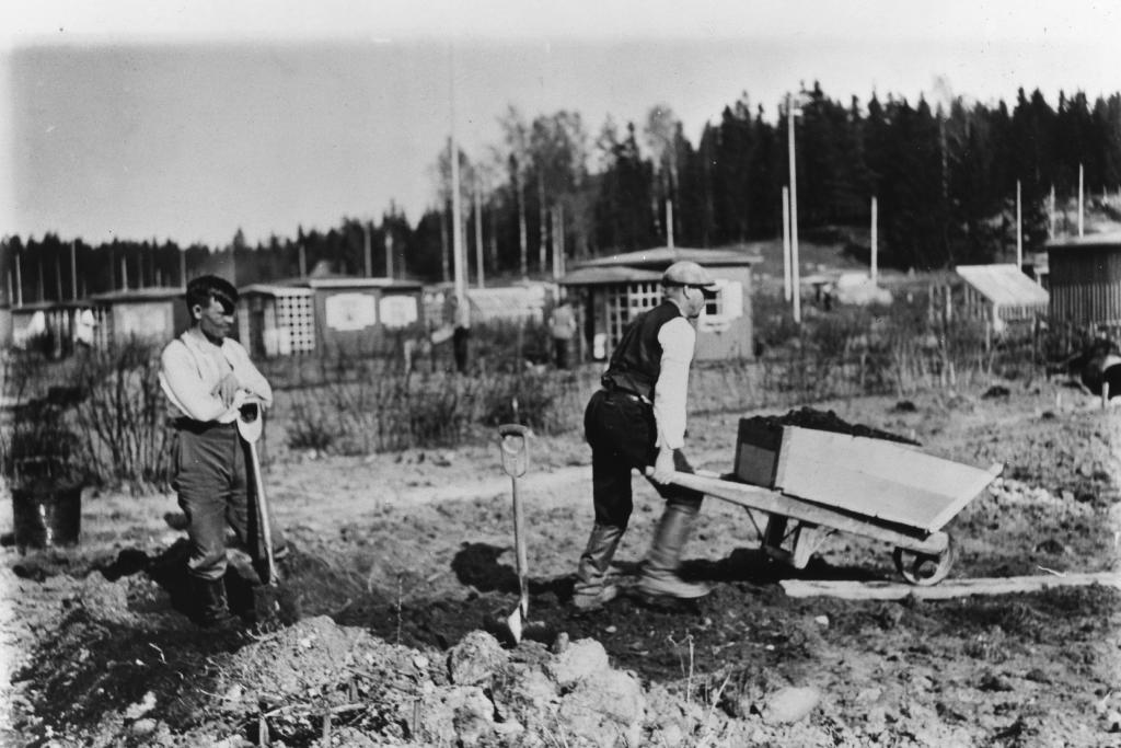 Vårarbeten i Gumtäkt koloniträdgård 1938 Foto: Helsingfors stadsmuseum / Okänd fotograf