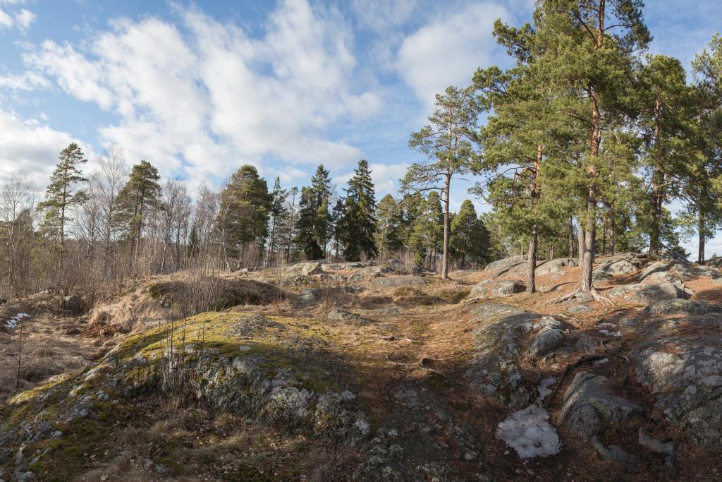 Ett skogigt och bergigt backlandskap i Botby i Helsingfors. Foto: Museiverket / Helena Ranta