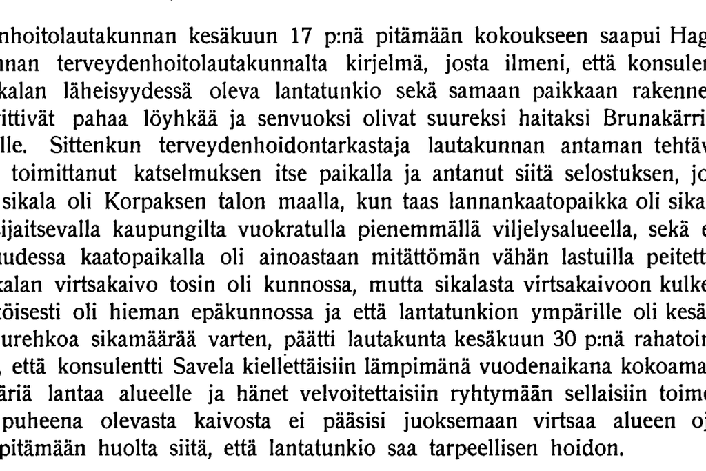 Siat aiheuttivat vielä 1900-luvun alussa hajuhaittoja kaupungissa. Ruskeasuolla sijainneesta sikalasta valitettiin kaupungin viranomaisille, jotka määräsivät sikalaan tarkastuksen. Kuvaaja: Helsingin kaupunginarkisto