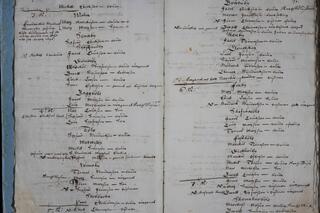 Koristeellisella käsialalla kirjoitettu luettelo sotaväenottoa varten