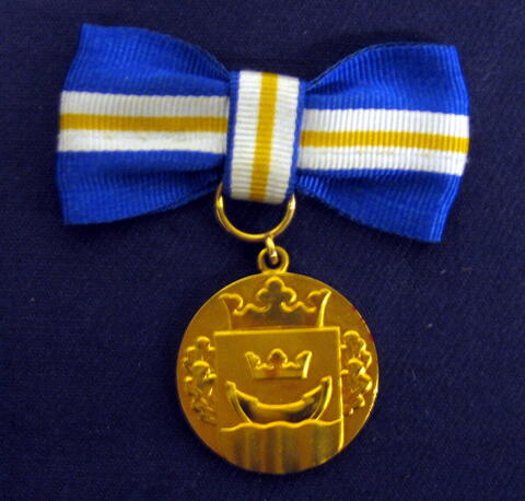 Rund medalj med Helsingfors vapen i relief på framsidan. På båda sidorna om vapnet finns två eklöv. Bandrosetten är blå i kanterna och vit i mitten.