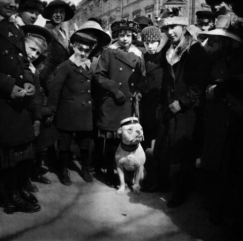 Barn klädda i hattar och mössor har samlats runt en ljus hund av bulldoggstyp. Hunden bär en mössa som liknas studentmössa.