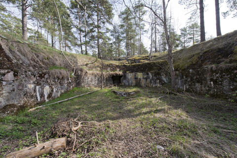 Metsikössä kesällä kuvattu betonirakennelma.