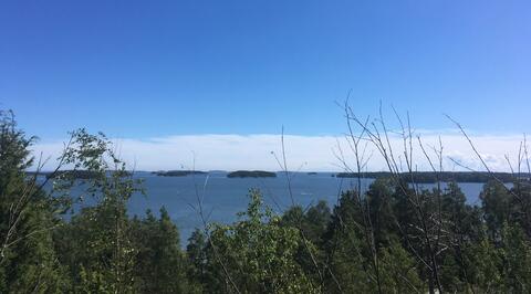 Puiden latvojen yli avautuva merimaisema aurinkoisena päivänä.