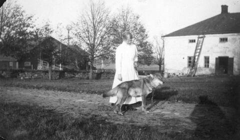 Tuomarinkylän kartano. Sisäkkö Hilma Lehtonen ja maanviljelysneuvos Kavaleffin kesy susi Rusi kartanon pihalla.