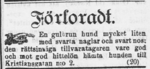 Annons om en borttappad hund, Nya Pressen 3.1.1889