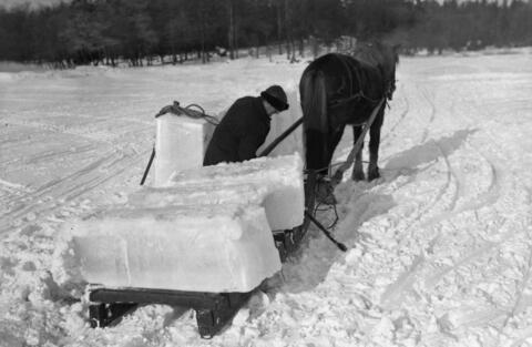 Hevonen on valjastettu tavarareen eteen. Mies lastaa jäälohkareita reen päälle.