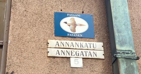 Rakennuksen seinässä on kilpi, jossa on sinisellä pohjalla piirretty fasaani ja teksti Fasaani Fasanen. Sen alapuolella lukee Annankatu Annegatan 5.