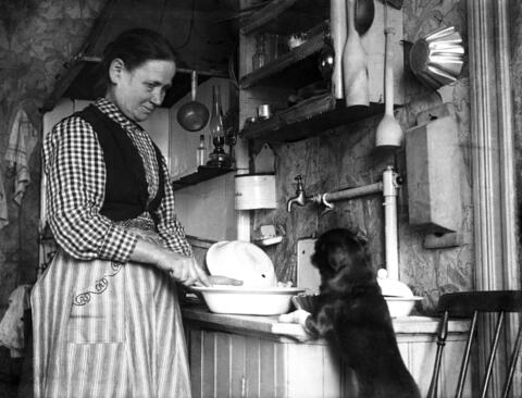 Till vänster står en kvinna och diskar, till höger står en hund på bakbenen framtassarna på diskbänken.