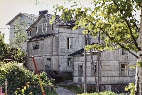 Tre trähus som har byggts tätt intill varandra i ett grönskande sommarlandskap i Västra Böle.