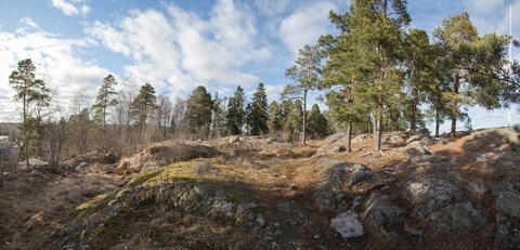 Metsäistä ja kallioista mäkimaisemaa Helsingin vartiokylässä.