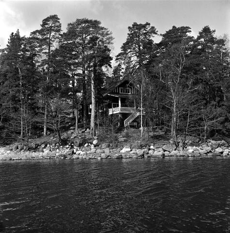 Mäntyjen suojaama puuhuvila Vartiosaaren rannassa.