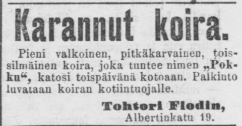 Lehti-ilmoitus karanneesta koirasta