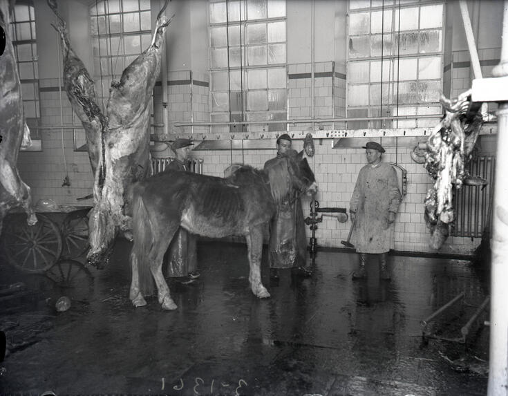 Keskellä kuvaa on laiha hevonen, jonka takana seisoo kolme miestä. Yhdellä on leka kädessä. Lattia on veressä. Oikealla on nyljetty lehmän pää, vasemmalla hevosten ruhoja.