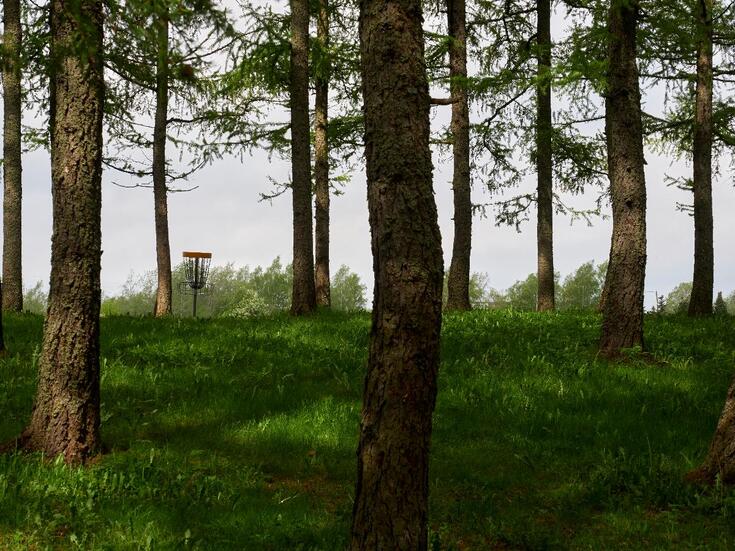 Puiston kaupunkimetsäinen maasto soveltuu frisbeegolfiin. Vasemmalla näkyy frisbeegolfmaali.