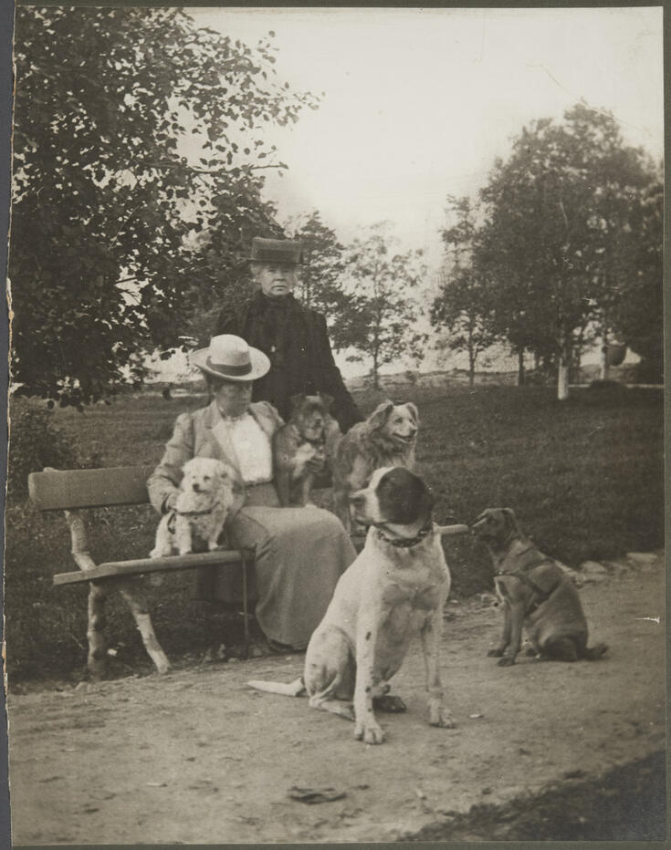 Kaksi naista puistossa. Toinen istuu penkillä, toinen seisoo hänen takanaan. Heidän kanssaan on viisi koiraa.