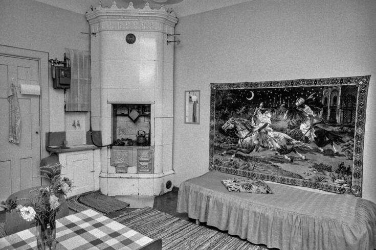 Huone, jossa on pesuallas ja hellakakluuni, sohvasänky sekä pieni ruokapöytä. Sängyn takana on seinägobeliini.