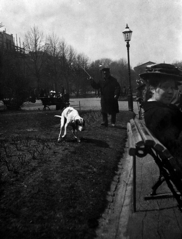 Parkvakten Pavel Andrejeff Hait (d. 1915) sjasar bort en hund från Runebergs esplanads gräsmatta.