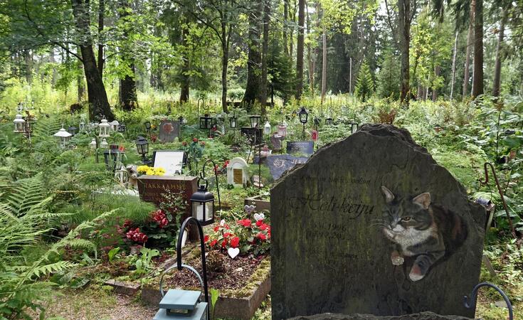 En lummig djurbegravningsplats i Centralparken. I förgrunden ståren gravsten med en bild av en katt och sliten text. På många gravar står lyktor av metall.