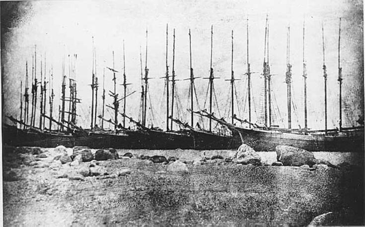 Kymmeniä purjelaivoja vieri vieressä talvehtimassa satamassa. Mastoissa ei ole purjeita