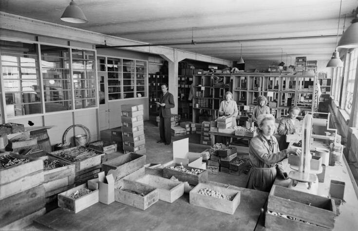 Neljä naista pakkaamassa heloja ja painikkeita metallitehtaalla. Heillä on vaaleat työtakit. Taempana seisoo mies, jolla on kädessään kortti. 