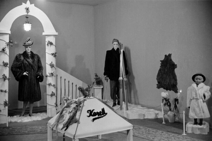 Mässhallen (= Tölö sporthall), Pälsmässan 16–18.12.1945, Karellis monter. Skyltdockorna bär pälsar och pälsmössor, i mitten finns en uppstoppad ekorre på en vitrin och pälsskinn från ekorrar.