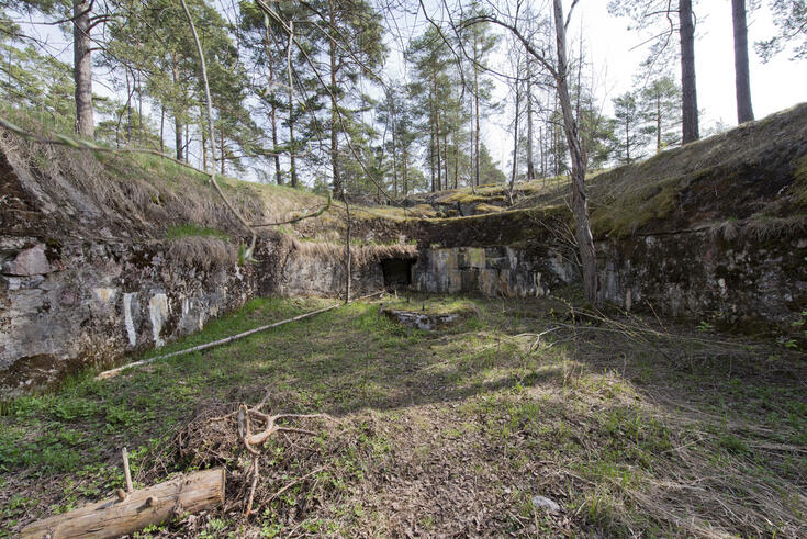 Metsikössä kesällä kuvattu betonirakennelma.
