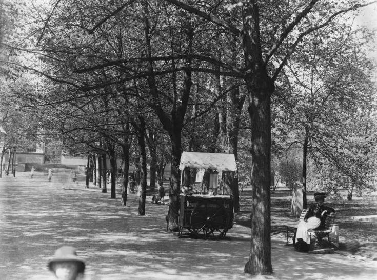 Vanha kirkkopuisto. Puistokäytävä portilta Vanhalle kirkolle. Puistokäytävällä on jäätelönmyyntikärry ja penkki, jolla istuu nainen.