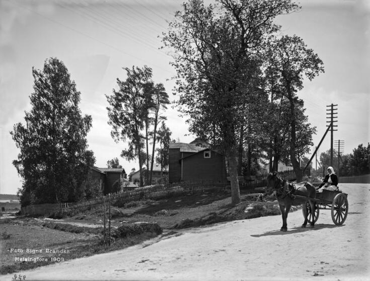 Maidonmyyjä palaamassa kaupungilta Itäisellä Viertotiellä Hermanni 41:n kohdalla ( = Hämeentie 103). Vasemmalla Hermanni 41:ssä sijaitsi Edvin Forsbäckin talo ja pyrotekninen laboratorio.
