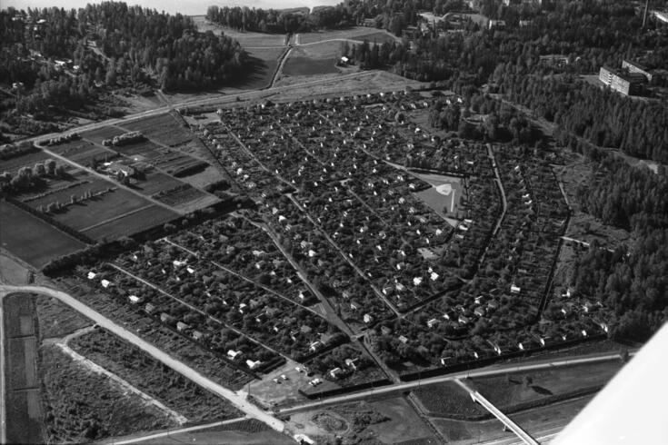 Ilmakuva Marjaniemen siirtolapuutarhan alueesta vuodelta 1970.