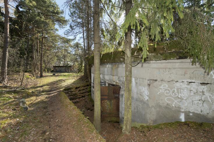 Ensimmäisen maailmansodan aikainen rannikkotykkipatteri Skatanniemessä, Vuosaaressa. Kuvassa on rintasuoja, jonka taakse on sijoitettu yhteensä neljä tykkiasemaa. Betonista valmistetun rintasuojan seinässä on ovi, josta pääsee sisälle rintasuojan alle rakennettuihin miehistö- ja varastotiloihin. Oven edestä kulkee polku, jolta pääsee laskeutumaan itse ovelle pieniä portaita pitkin. Oven ulkopuolella kasvaa kaksi kuusta. Taustalla näkyy tykkiaseman rintasuojan kaarre, jonka seinälle on maalattu graffiteja