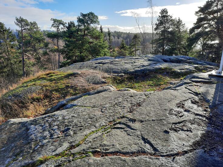 Fotografi taget uppe på Botby fornborg