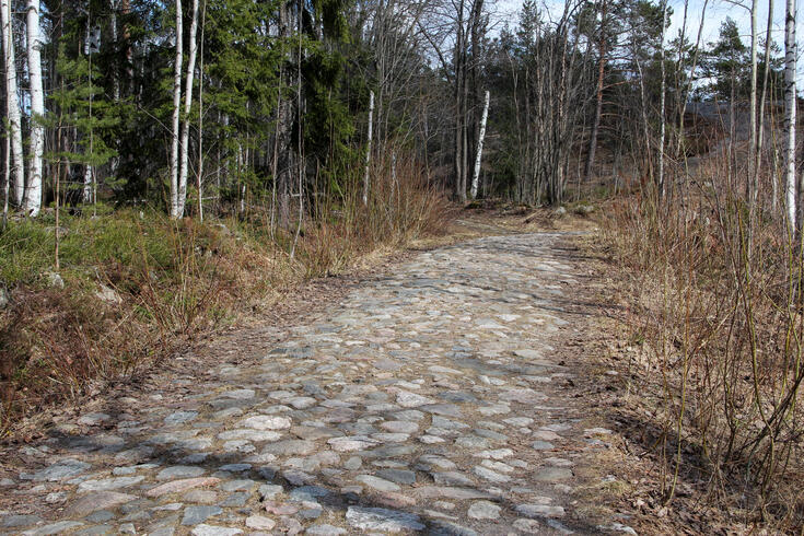 Stenbelagd väg går genom skogen