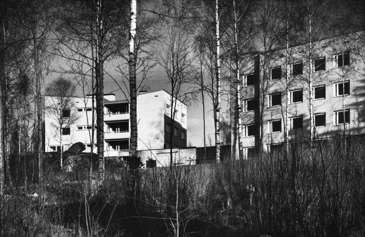 Etualalla on risukkoa ja lehdettömiä koivuja, taustalla nelikerroksisia asuintaloja. 