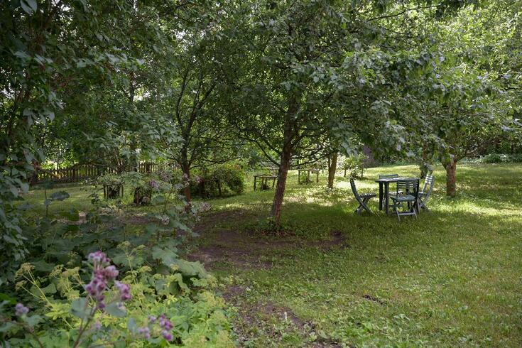 Nurmikkoa, puita ja pensaita, keskellä on pieni pöytä, jonka ympärillä on neljä tuolia.