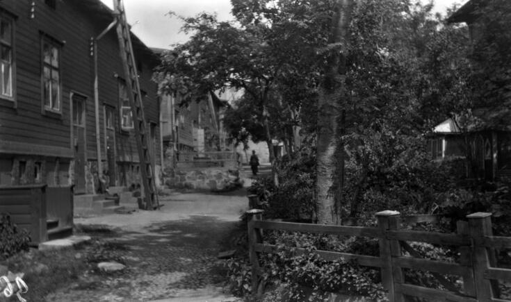 Vasemmalla puurivitalo, oikealla vehreää pihaa.